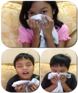 Asthma And Allergic Rhinitis - Prevention And Tips