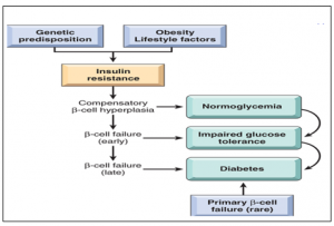 Mechanisms for insulin resistance and DM development (Nature 444, 840-846(14 December 2006)